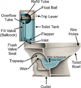 toilet cut out diagram The Ultimate Handyman troubleshoots, repairs, replaces and maintain all your toilets no matter how many you have. We have a maintenance program for facilities with more than 20 fixtures, in which we inspect, adjust and repair plumbing parts at the first sign of a problem, saving water; therefore, saving your money and the environment.