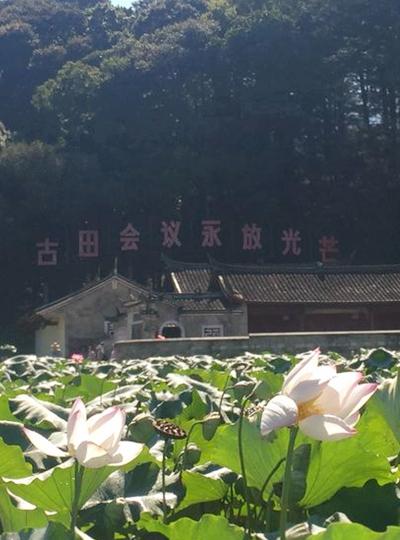 維博人古田會議旅游學(xué)習(xí)